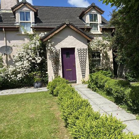 Orchard Cottage Dingle Eksteriør billede