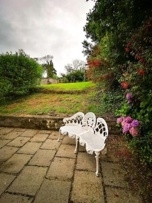 Orchard Cottage Dingle Eksteriør billede